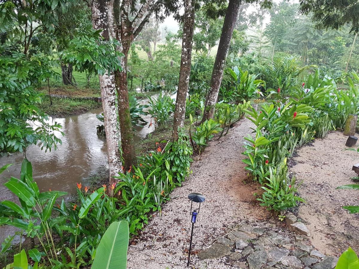 Auto Hotel Paraiso Inn Palenque Dış mekan fotoğraf