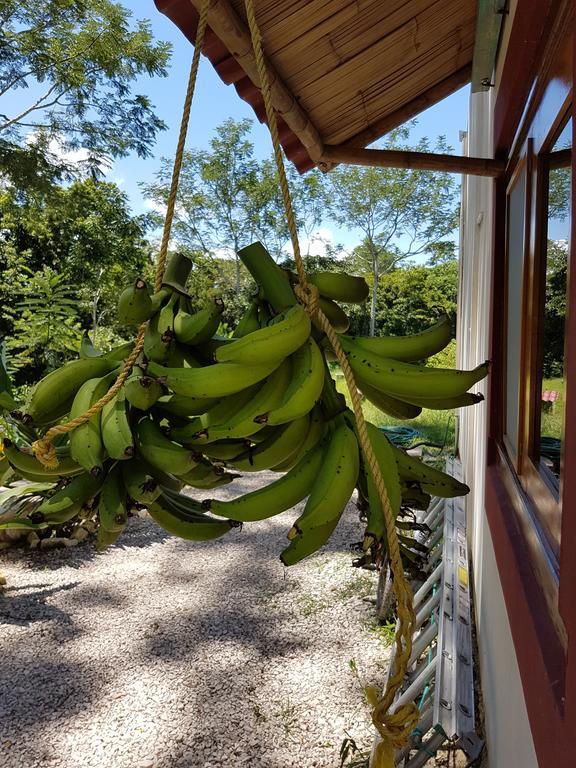 Auto Hotel Paraiso Inn Palenque Dış mekan fotoğraf