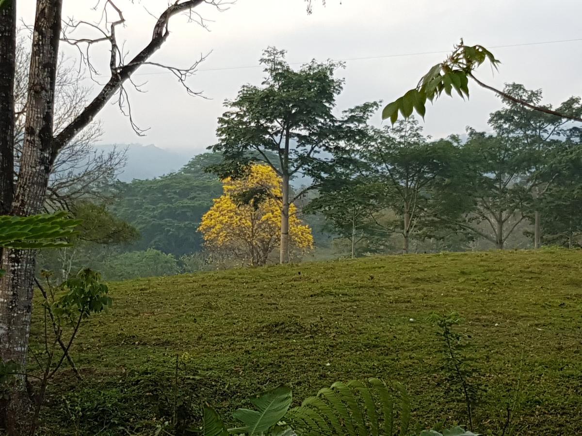 Auto Hotel Paraiso Inn Palenque Dış mekan fotoğraf